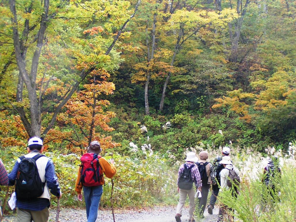 Madarao Elm Pension Iiyama Dış mekan fotoğraf