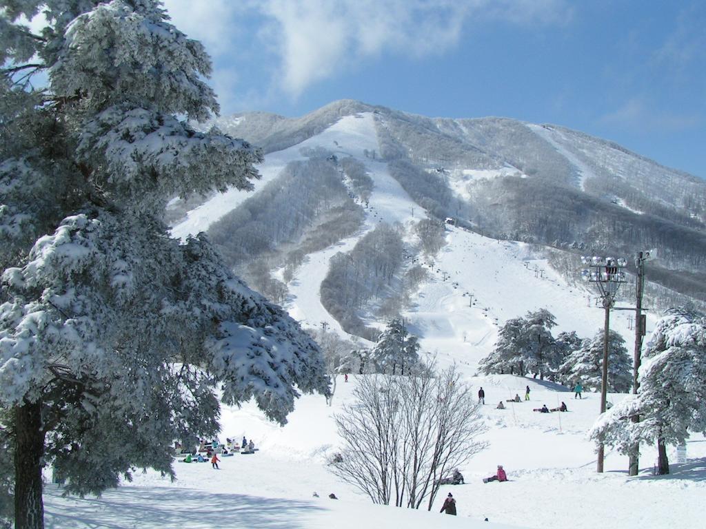 Madarao Elm Pension Iiyama Dış mekan fotoğraf